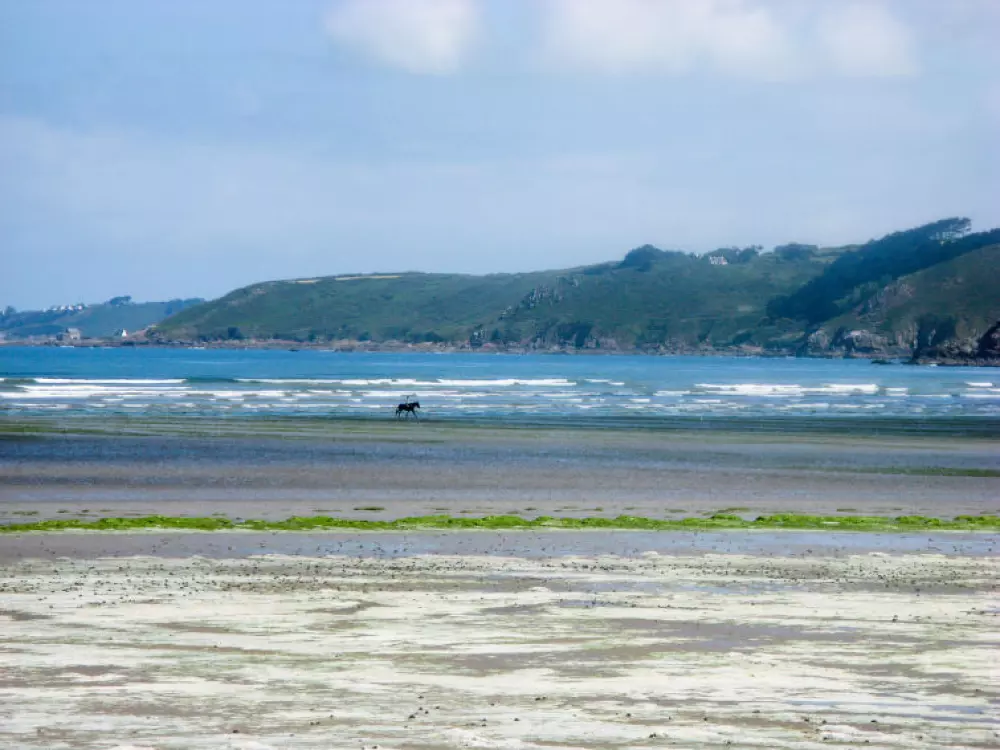 Maison de Vacances Ploumilliau