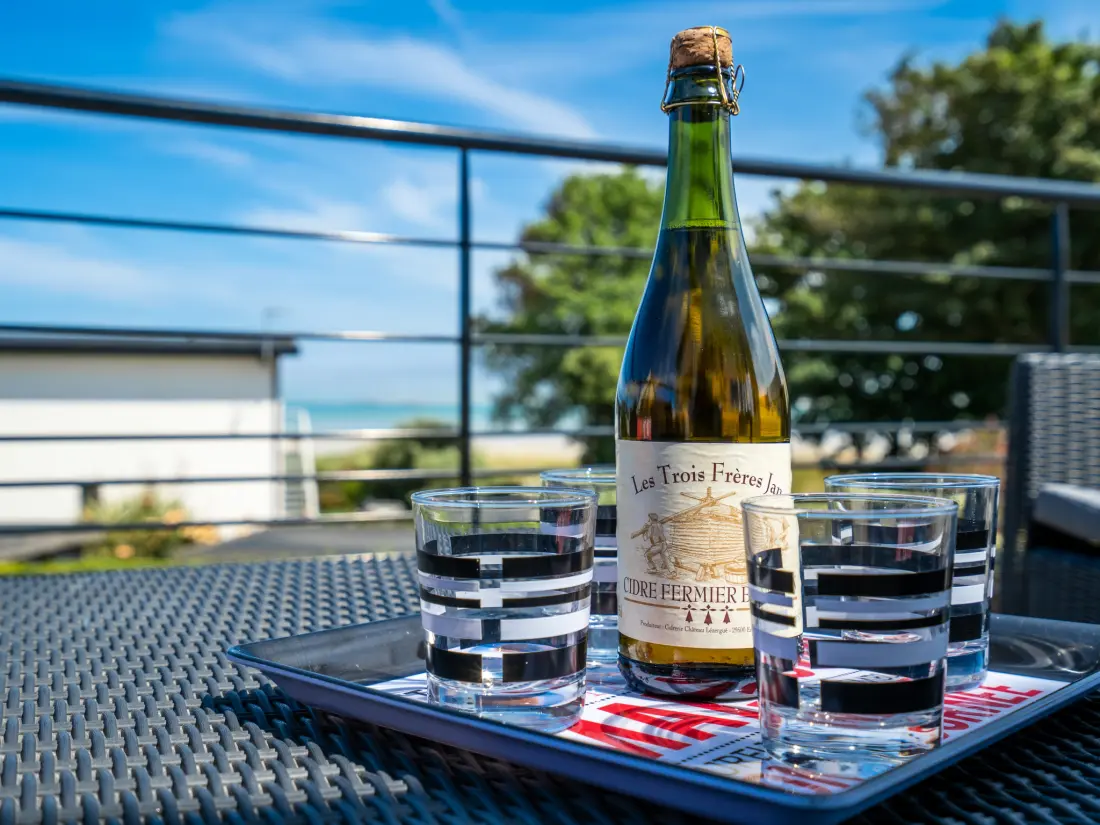 Maison de Vacances Plouneour Trez