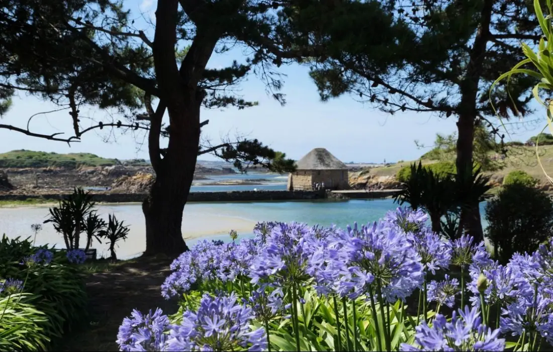 Gîte de France Familial 3 épis