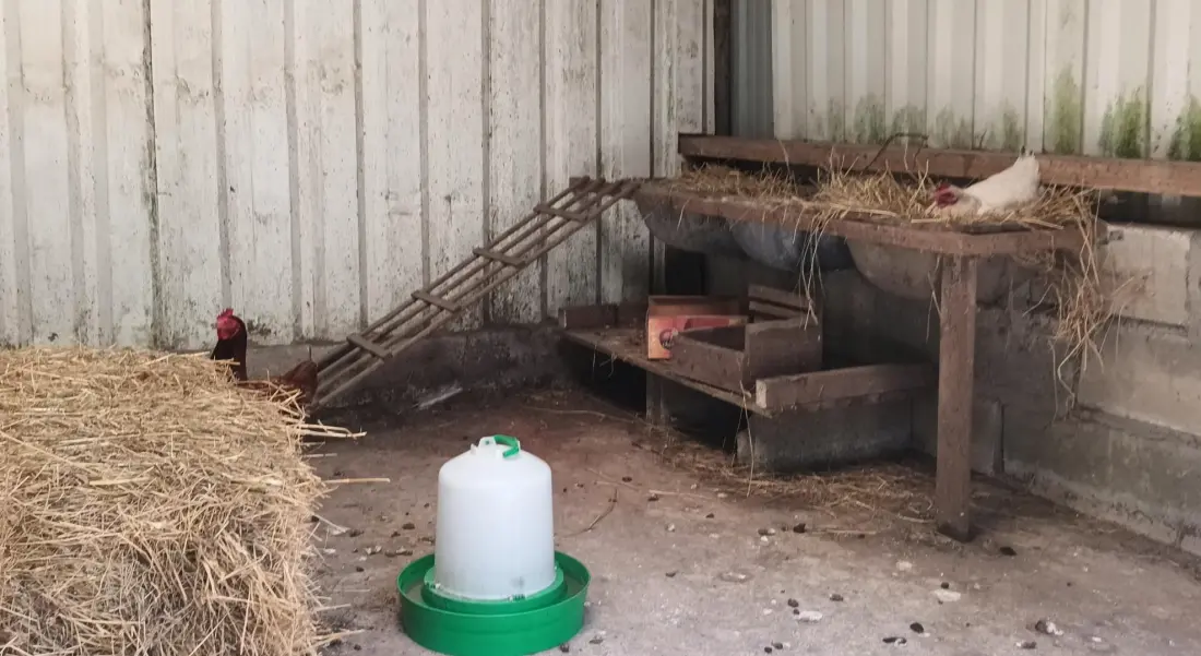 Gîte de France Ty yar 2 épis
