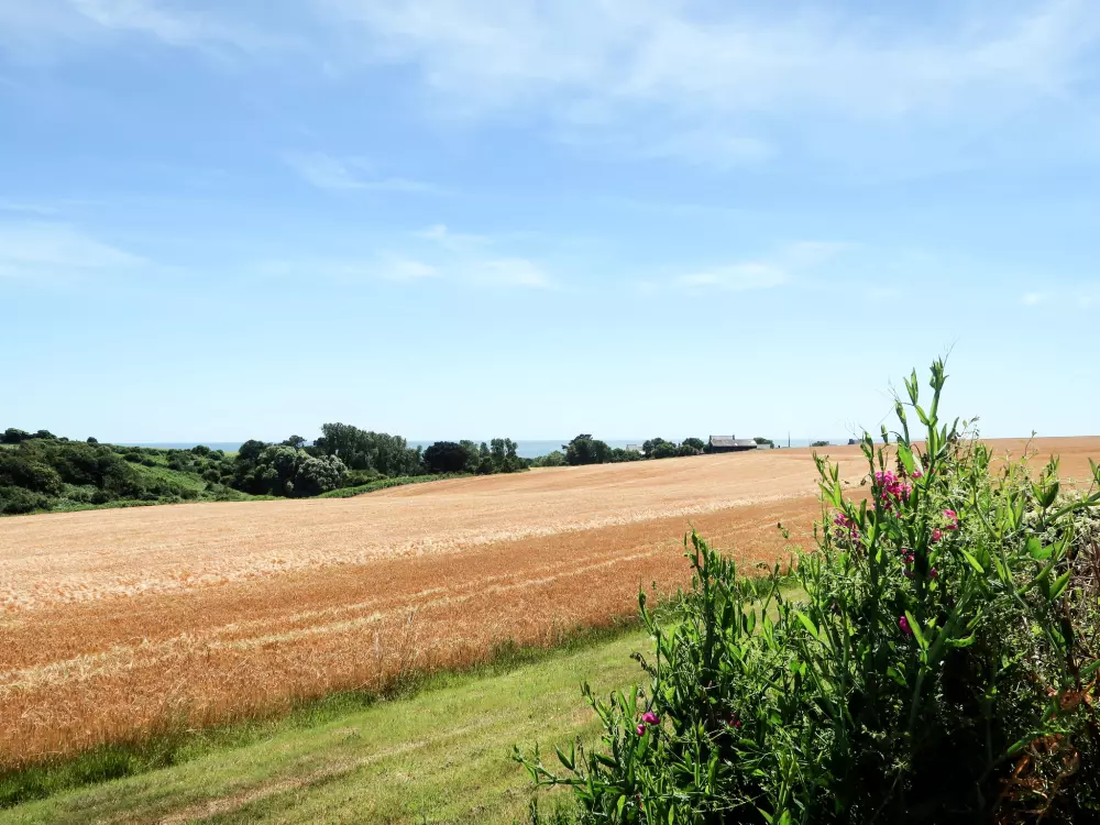 Maison de Vacances Plozévet