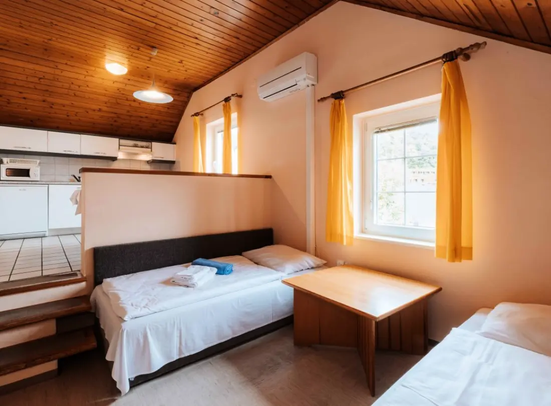 Terme Olimia 5 étoiles★★★★★