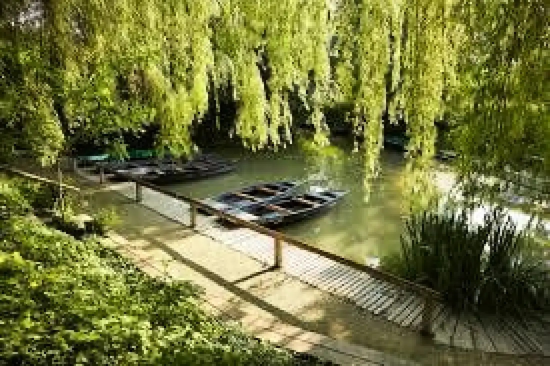 Flower Camping Côté Lac 3 étoiles★★★