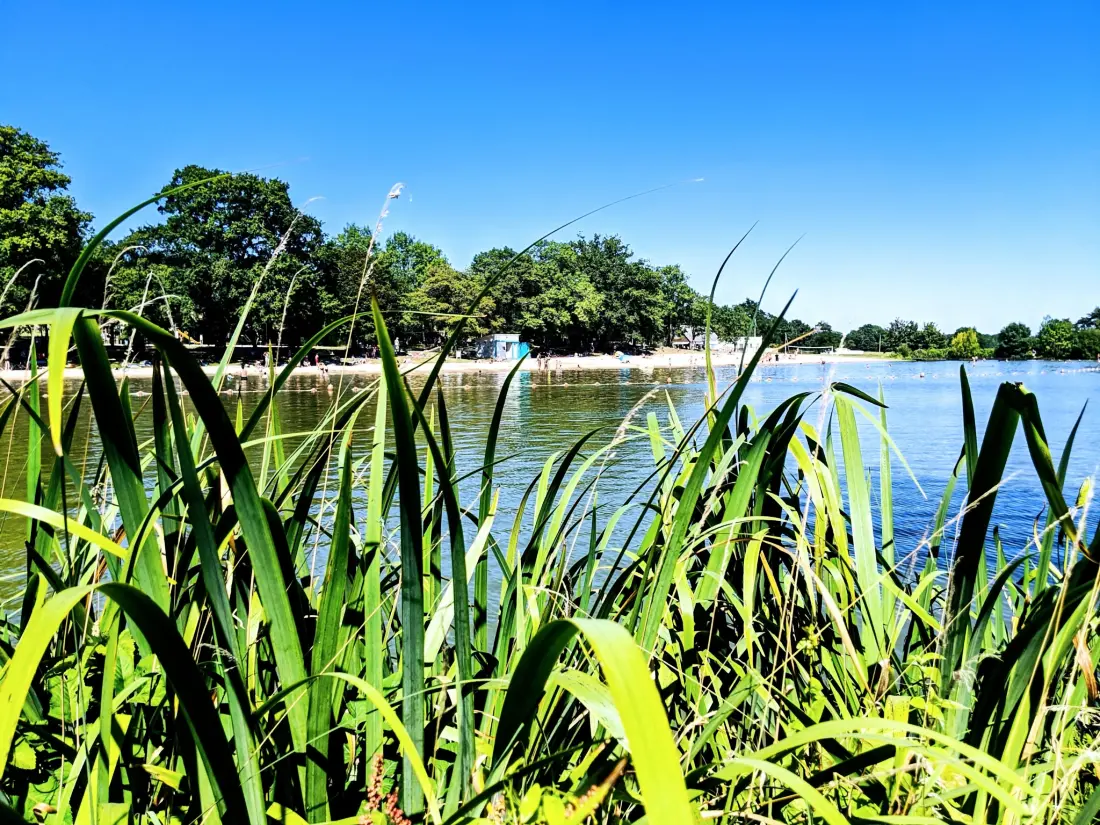 Flower Camping Côté Lac 3 étoiles★★★