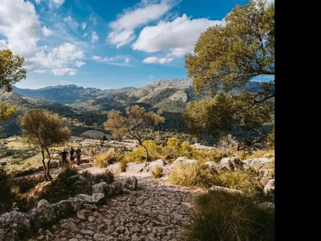 Maison de Vacances Pollença 151