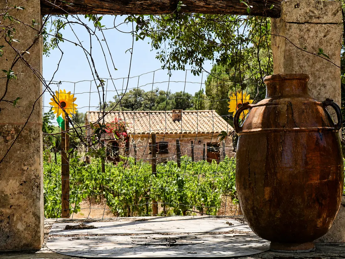 Maison de Vacances Pollença 160