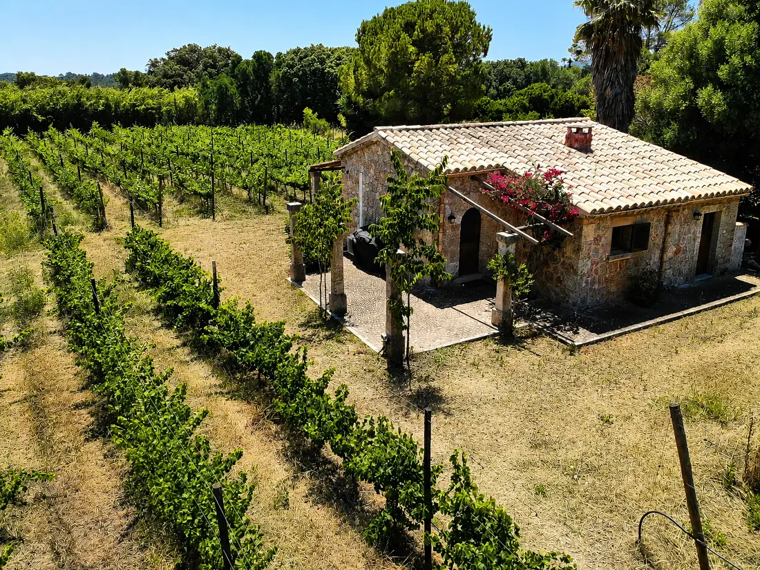Maison de Vacances Pollença 160