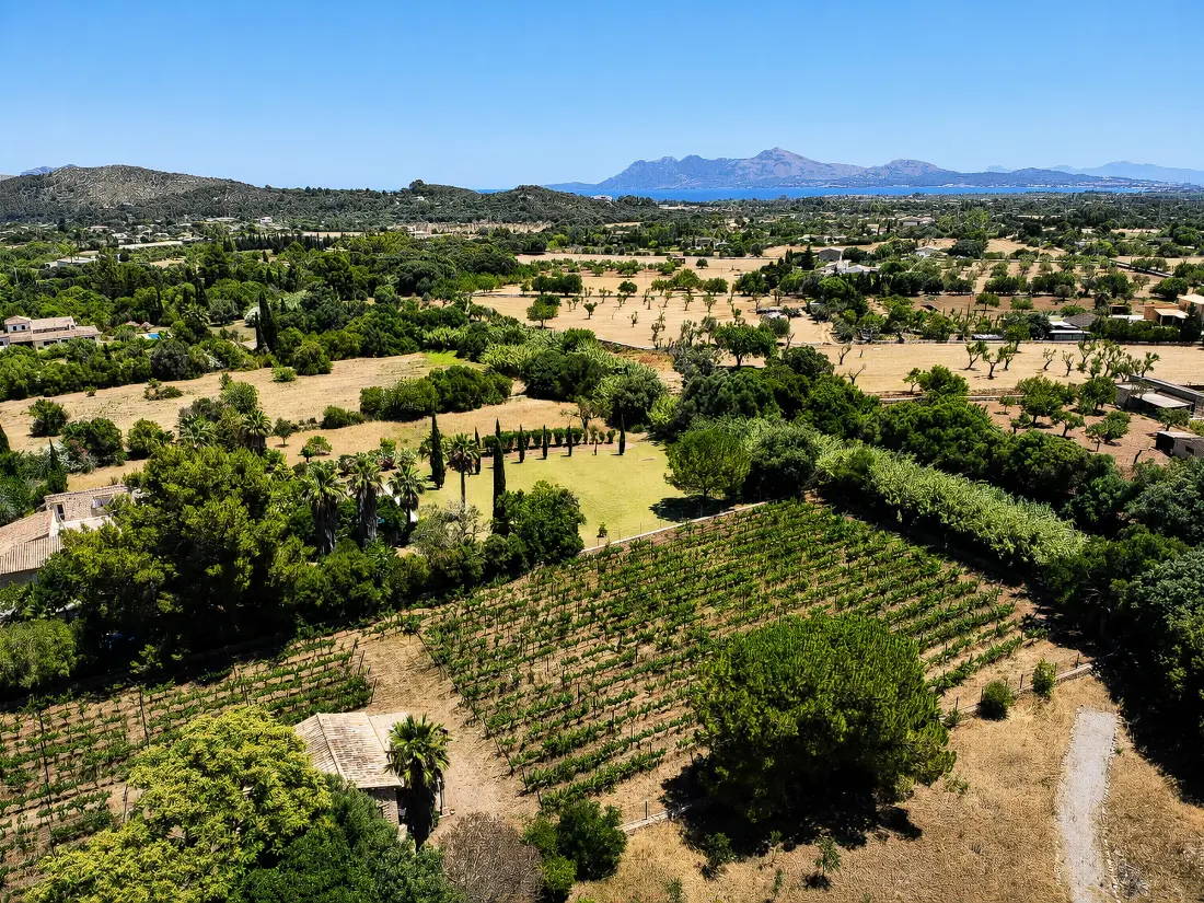 Maison de Vacances Pollença 160