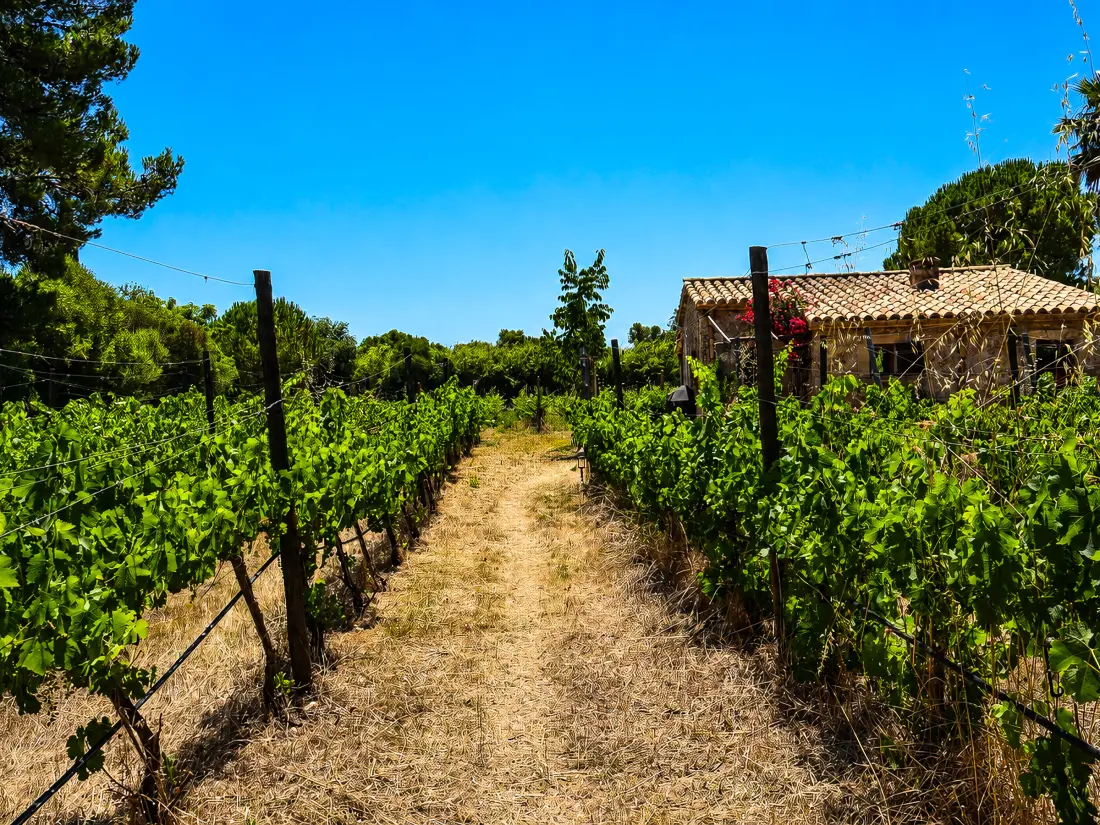 Maison de Vacances Pollença 160