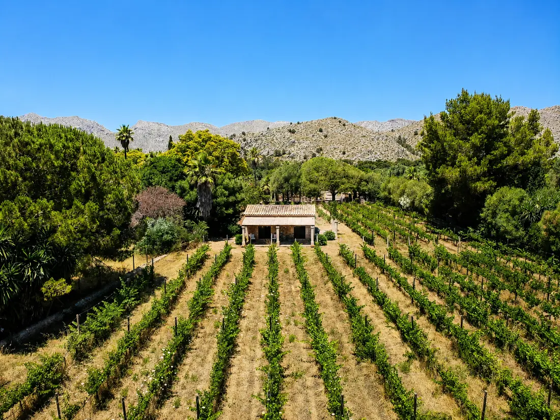 Maison de Vacances Pollença 160