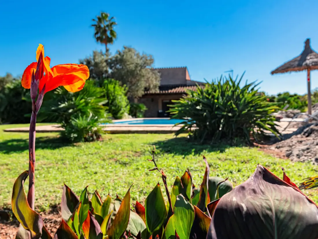 Maison de Vacances Pollença 220