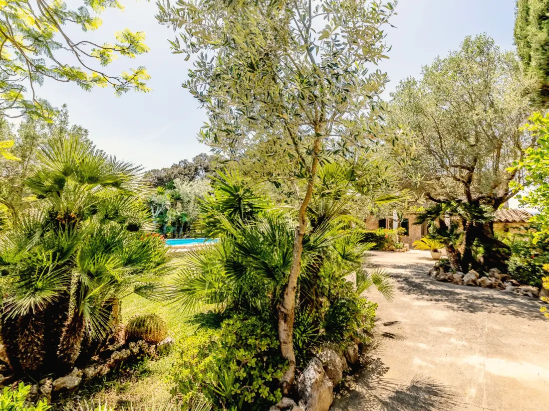 Maison de Vacances Pollença 223