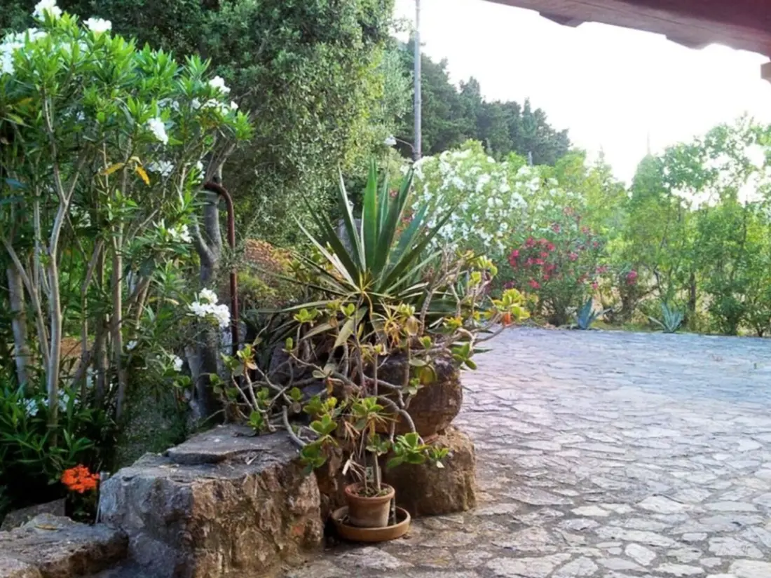 Maison de Vacances Pollença 240