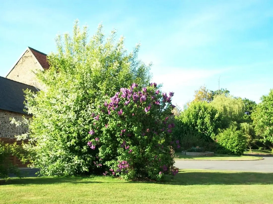 Maison de Vacances PONTORSON 19