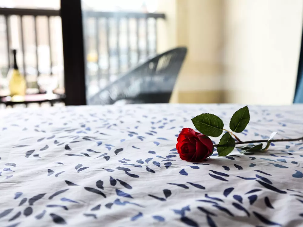 Résidence Le Continental