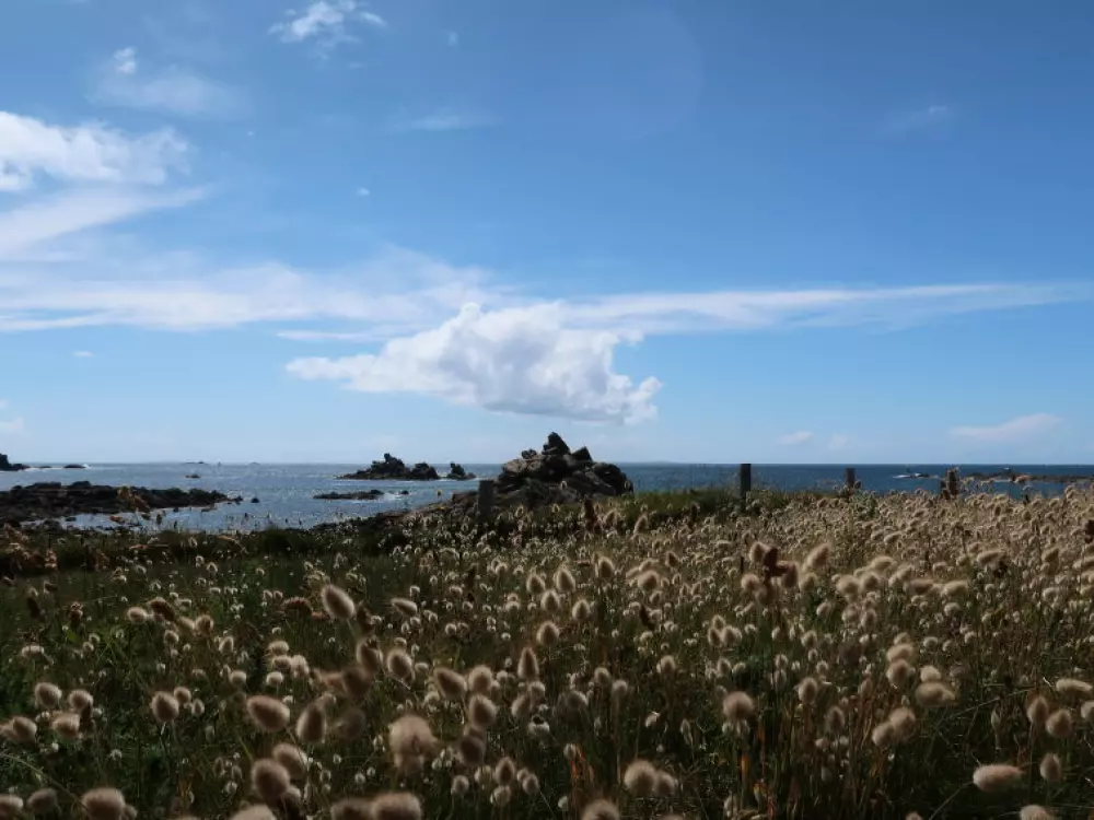 Maison de Vacances Porspoder