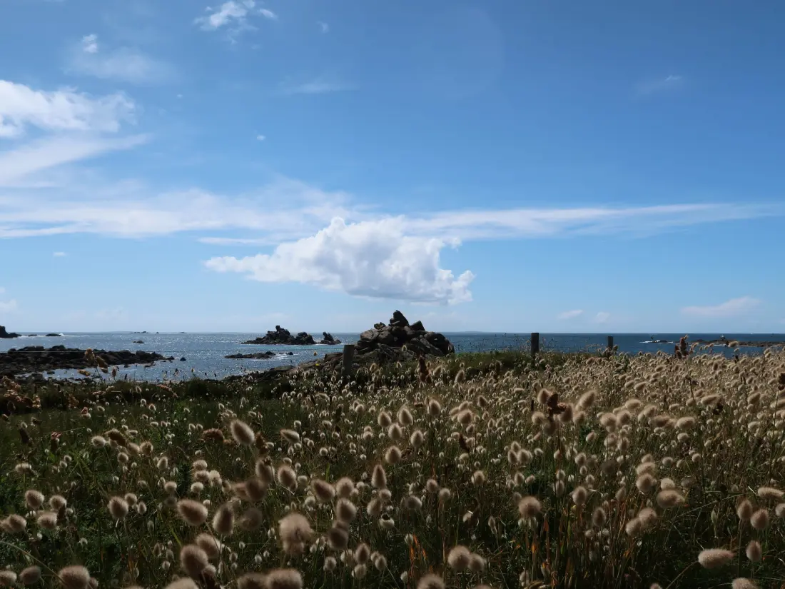 Maison de Vacances Porspoder