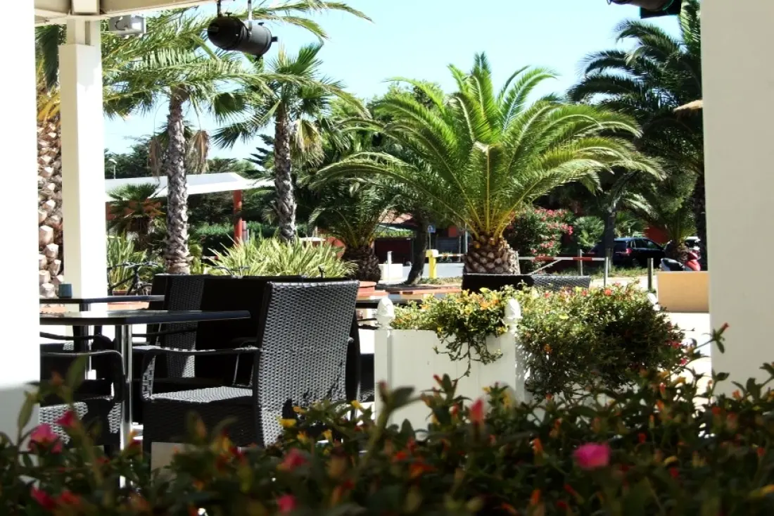 Camping l'Oasis et California 4 étoiles★★★★