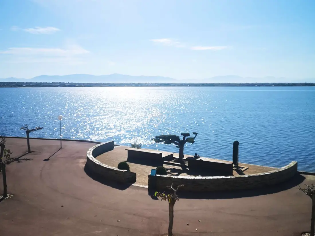 Location de Vacances Port Barcarès 419