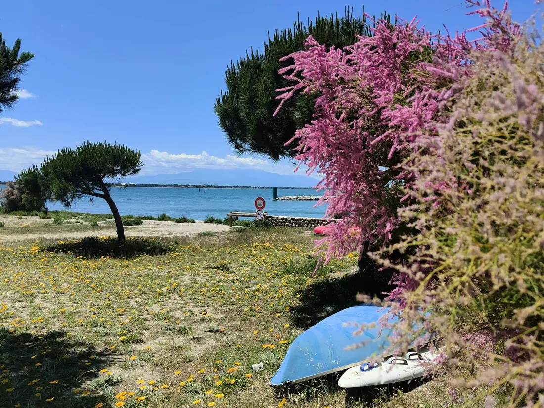 Location de Vacances Port Barcarès 419
