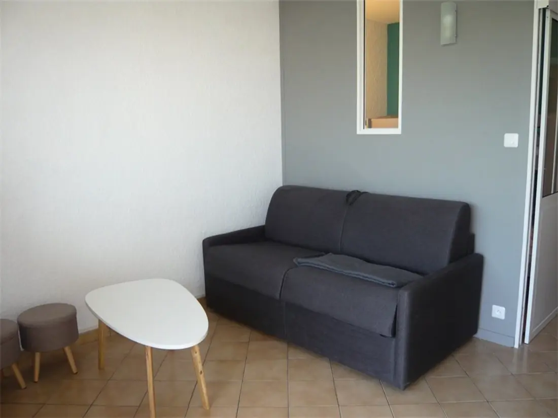 Location de Vacances Port Camargue 315
