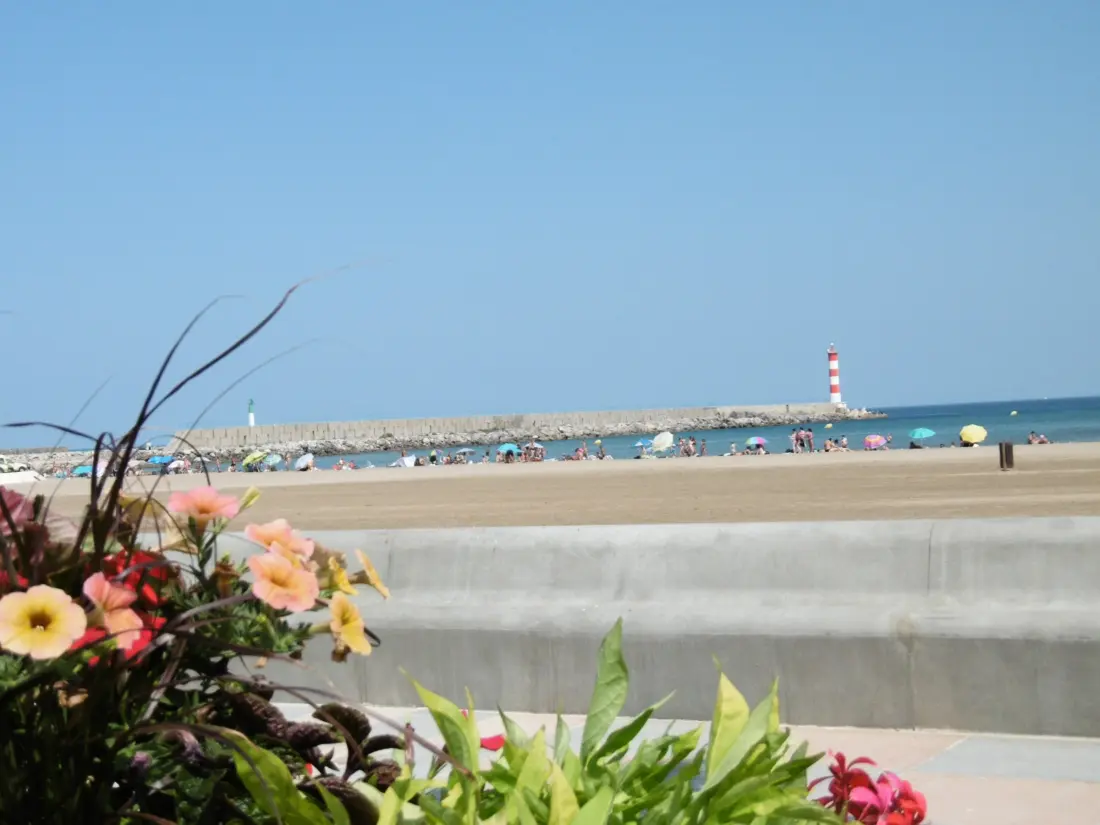 Maison de Vacances Port-la-Nouvelle 165