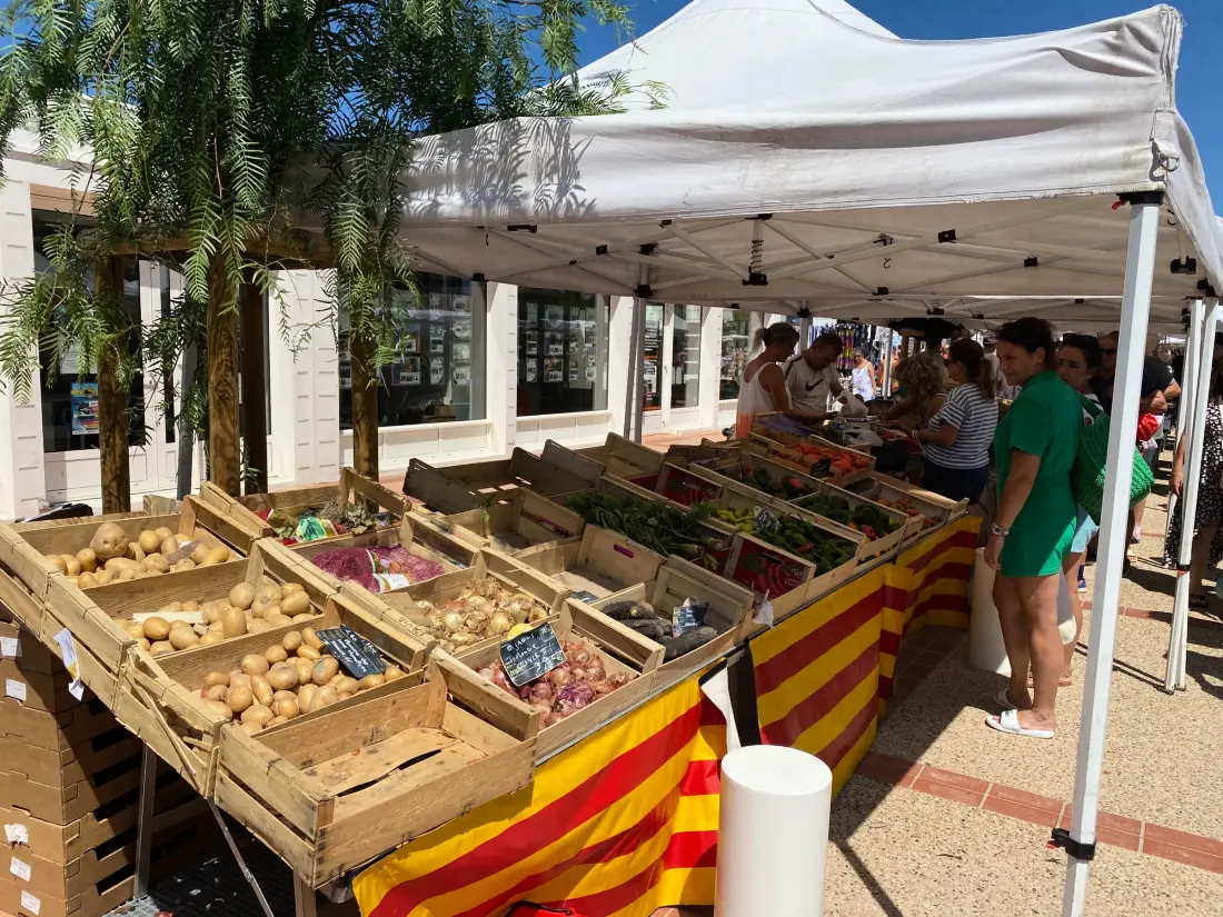 Location de Vacances Port Leucate 568