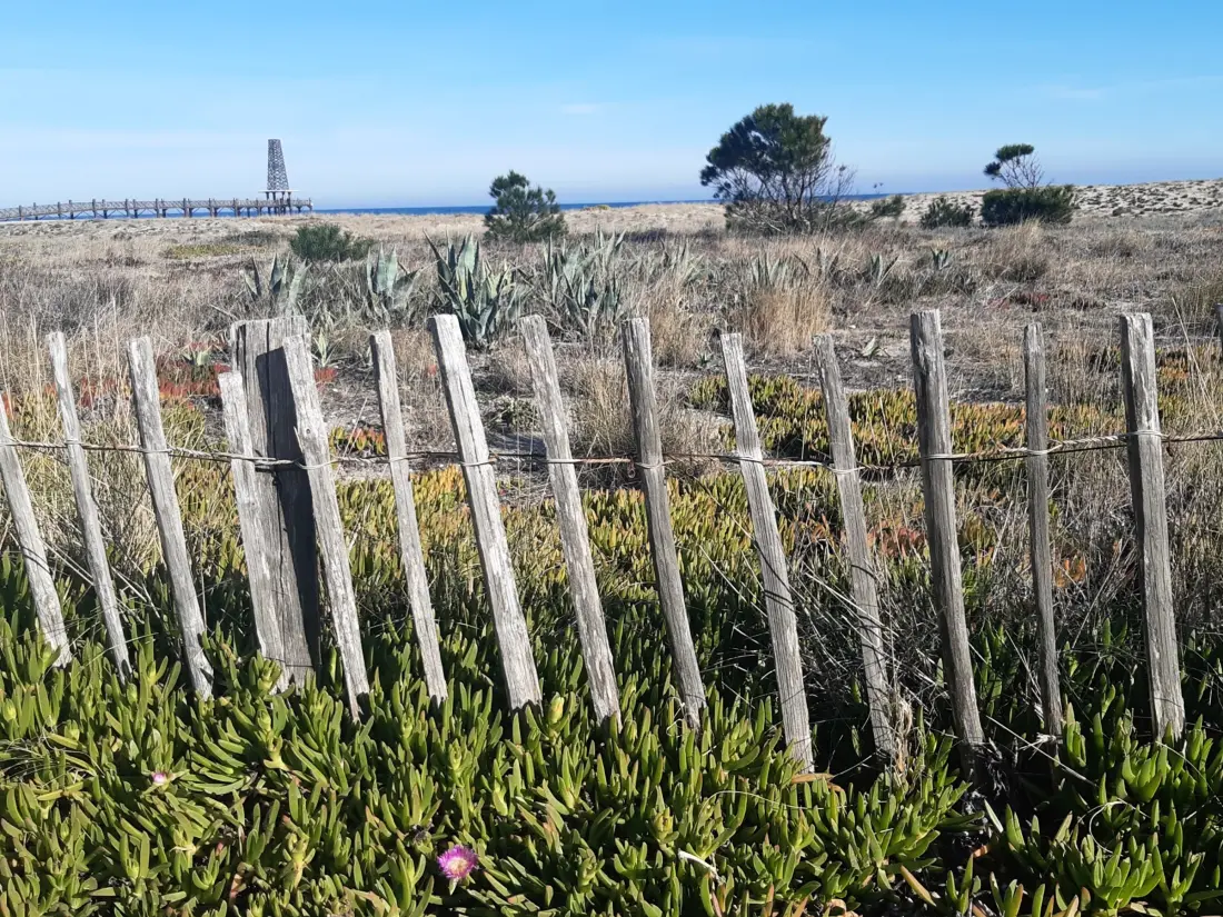 Location de Vacances Port Leucate 585