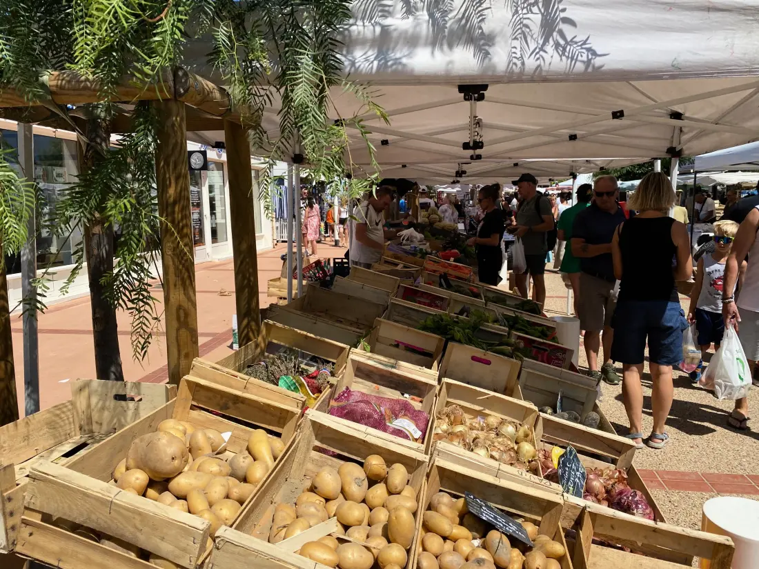 Location de Vacances Port Leucate 587