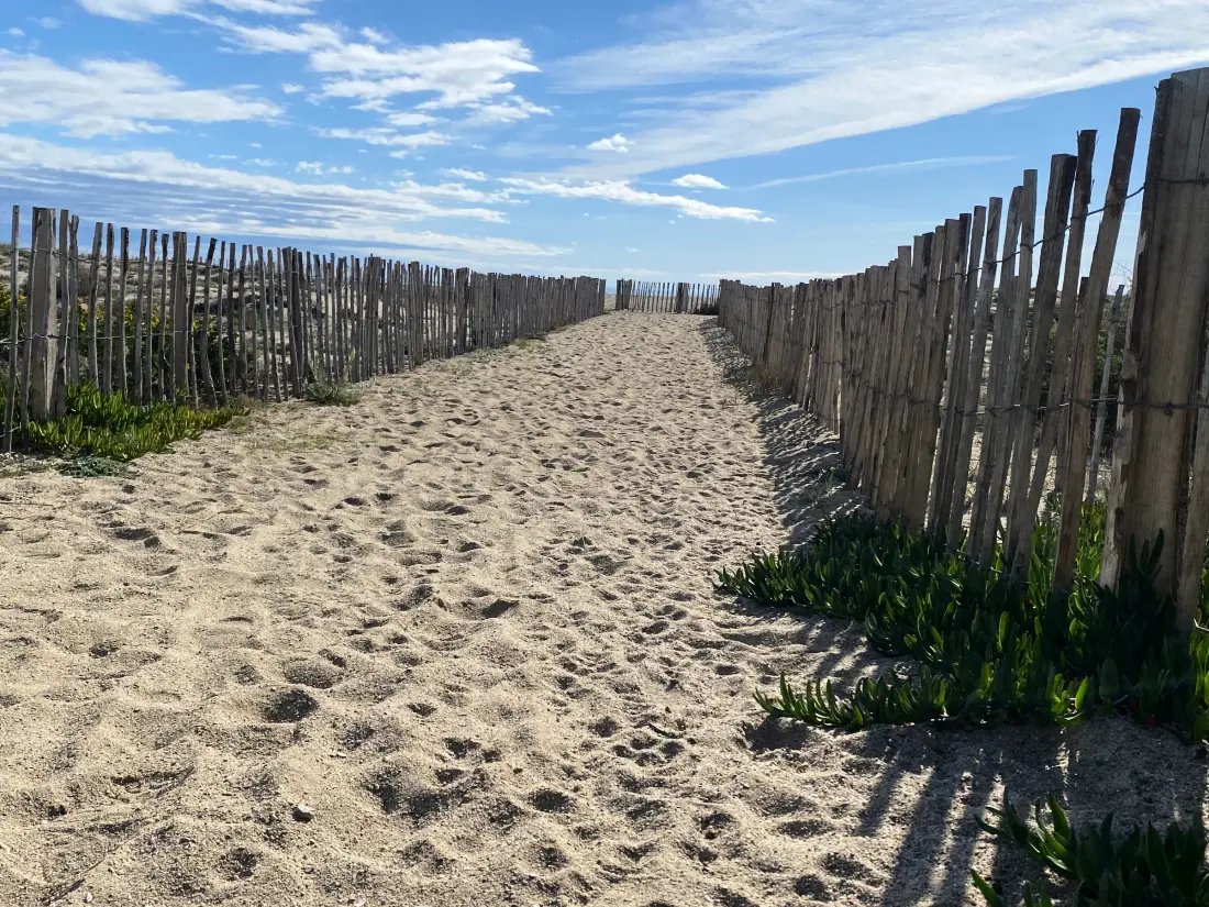 Location de Vacances Port Leucate 647