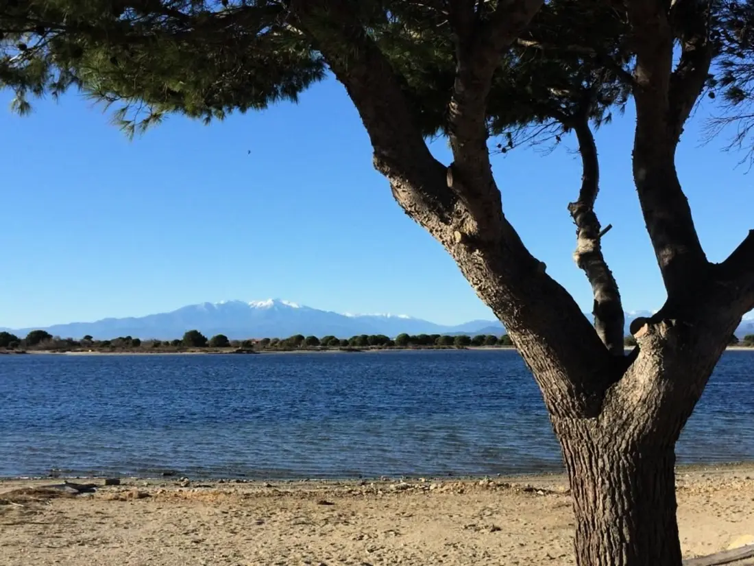 Location de Vacances Port Leucate 69