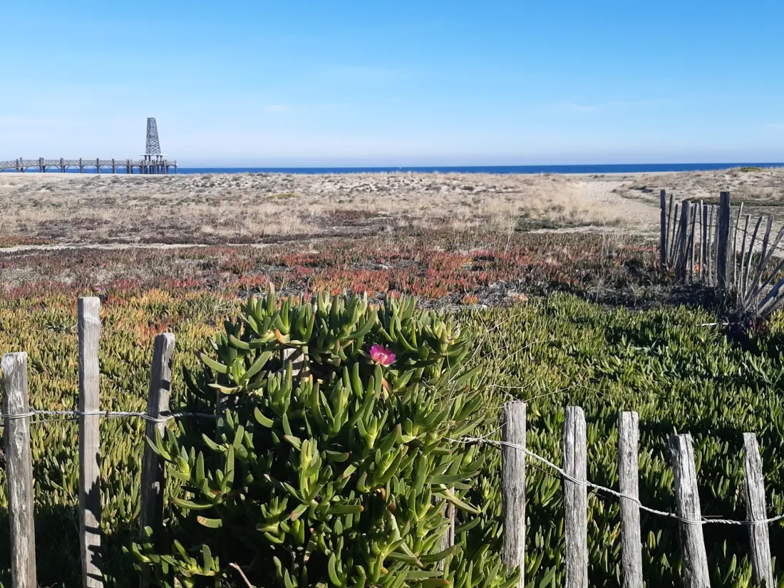 Maison de Vacances Port Leucate 612