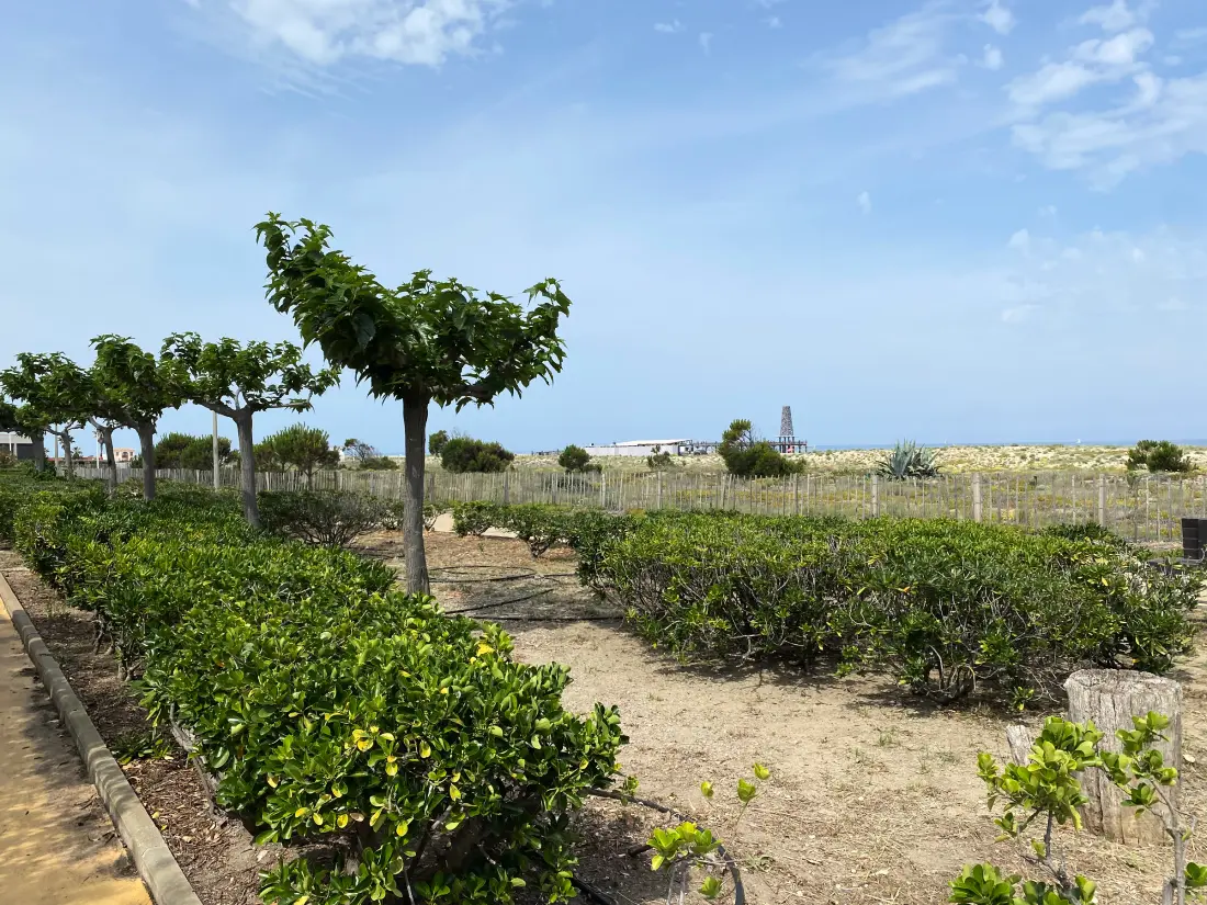 Maison de Vacances Port Leucate 618