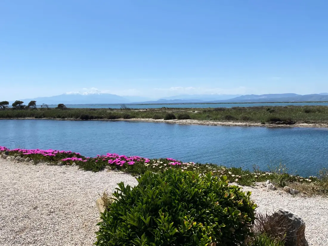 Maison de Vacances Port Leucate 699