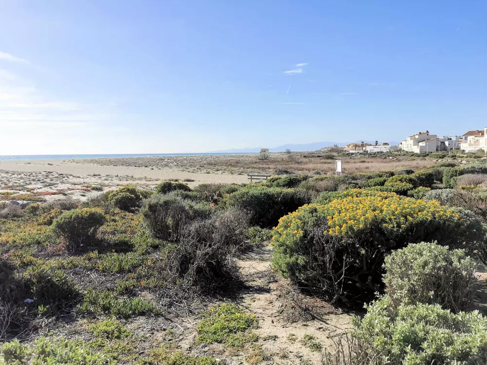 Résidence Maisons De La Mer 1