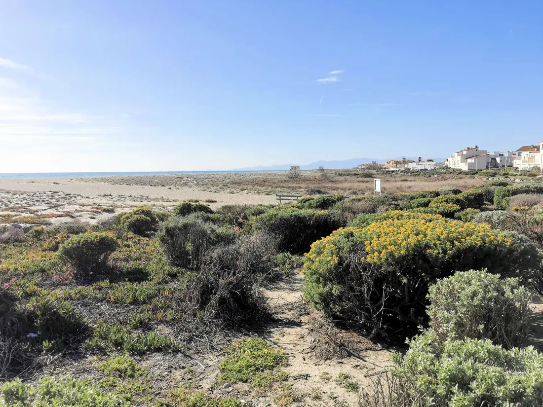 Résidence Maisons De La Mer 1