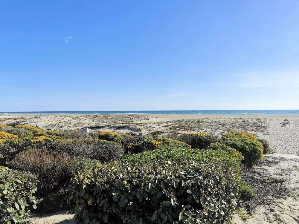 Résidence Maisons De La Mer 1