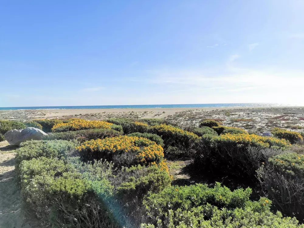 Résidence Maisons De La Mer 1