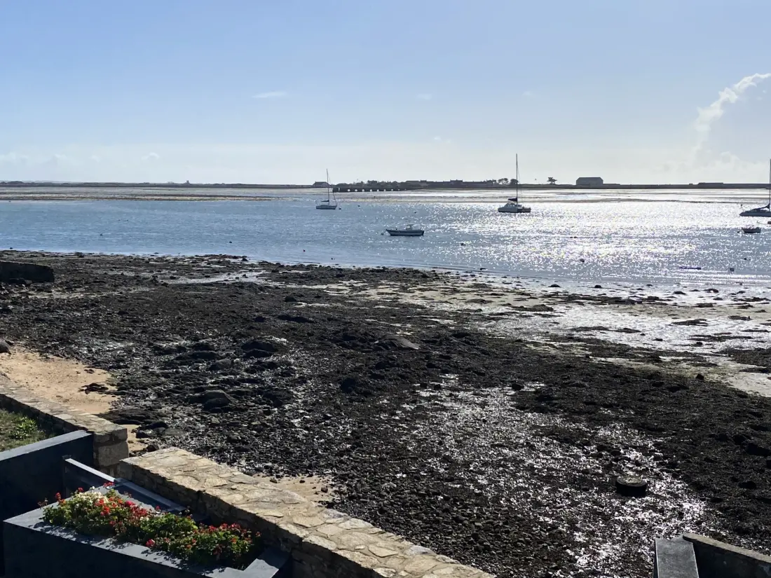 Location de Vacances PORT-LOUIS 16