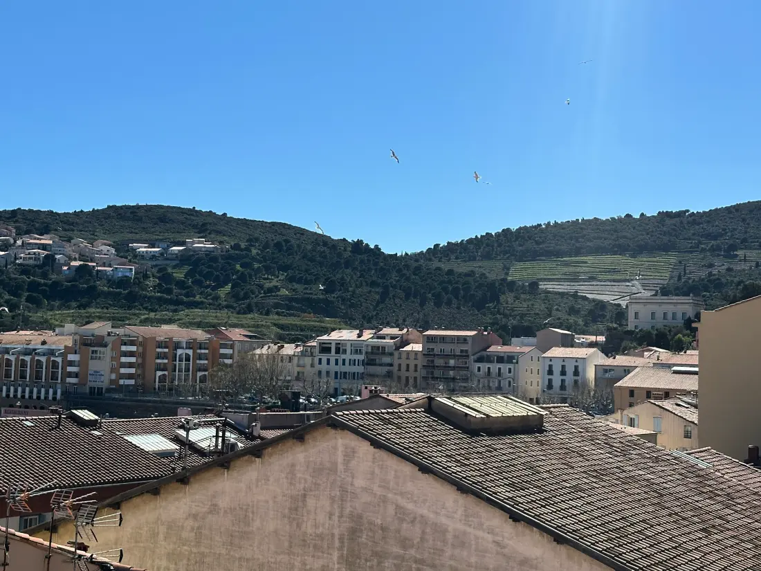 Location de Vacances Port-Vendres 124