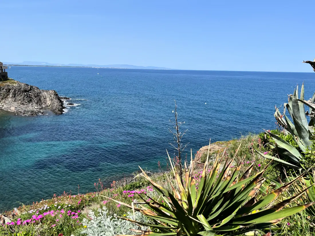 Location de Vacances Port-Vendres 128