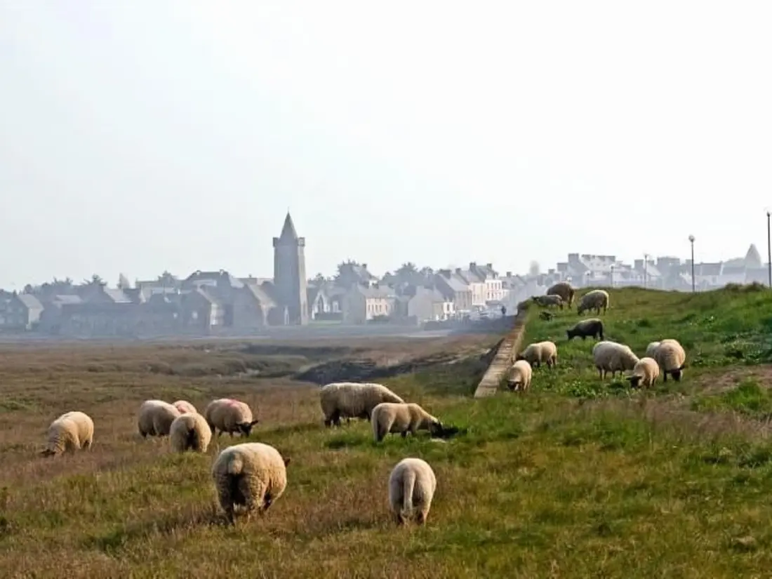 Maison de Vacances Portbail