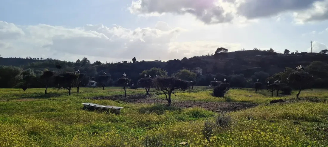 Vista Bonita