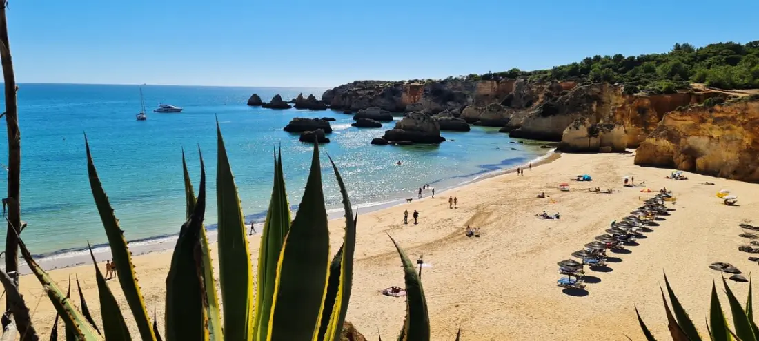 Vista Bonita