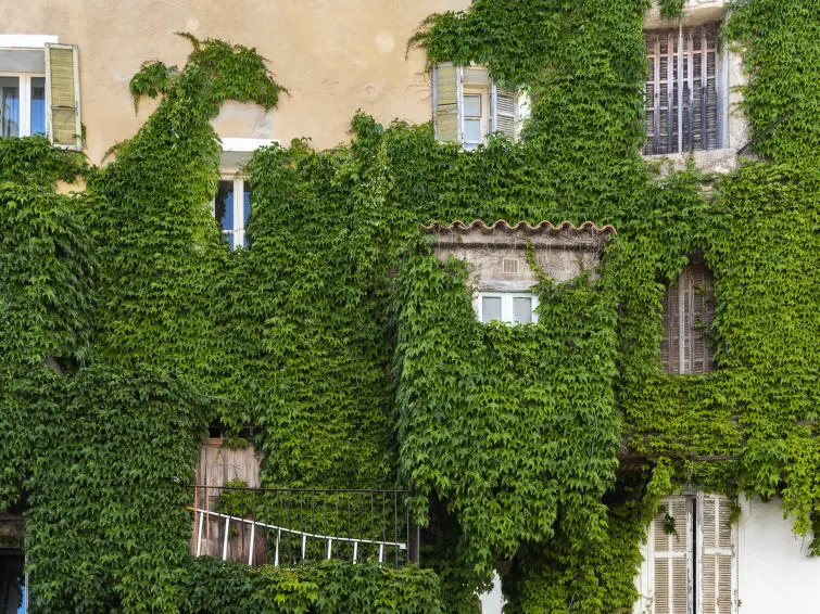 Résidence Cala Sultana