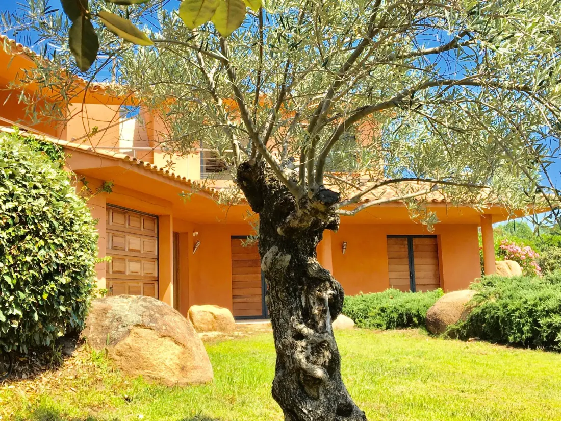 Maison de Vacances Porto Vecchio