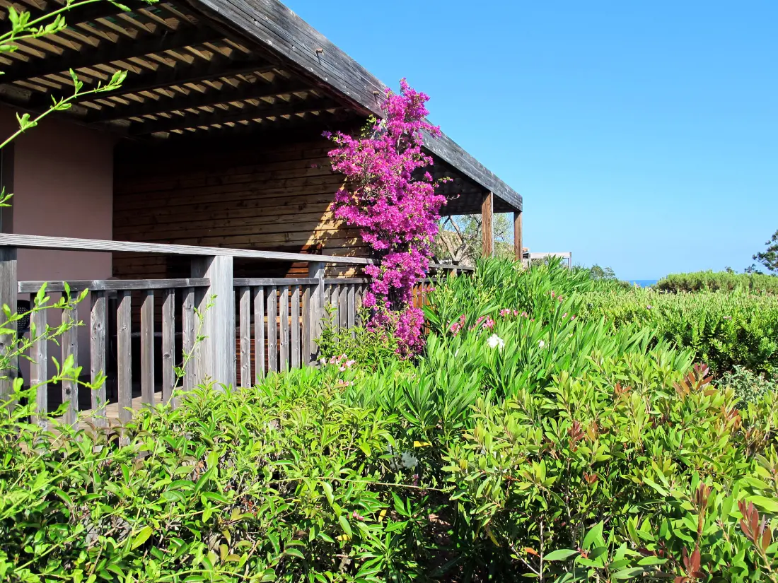 Maison de Vacances Porto Vecchio