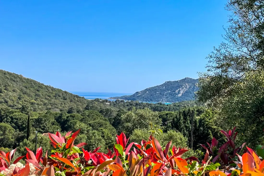 Résidence Casa Ondella Di Porto-vecchio