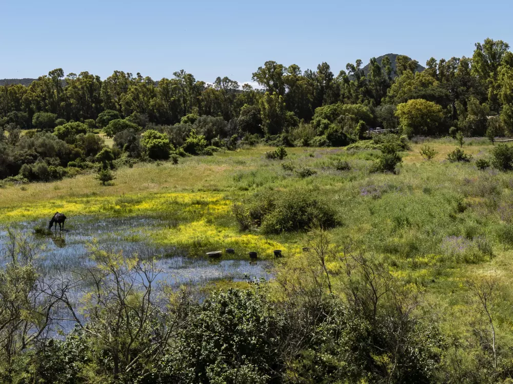 Résidence Stanatura