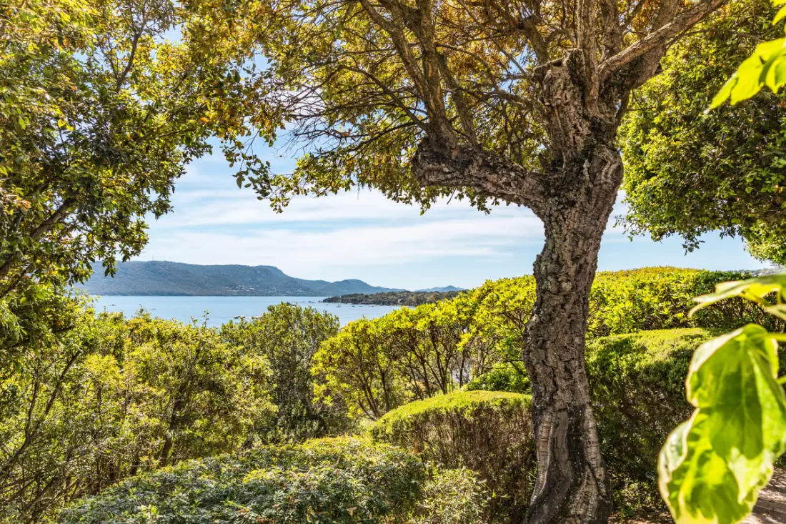 Résidence Villa A Benista Di Porto-vecchio